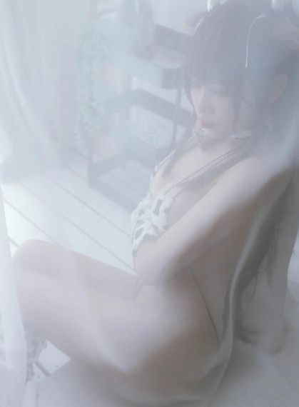 纸钞屋第一季在线观看完整版_高清天堂在线