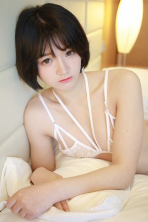 电视剧观看_DVD完整视频观看